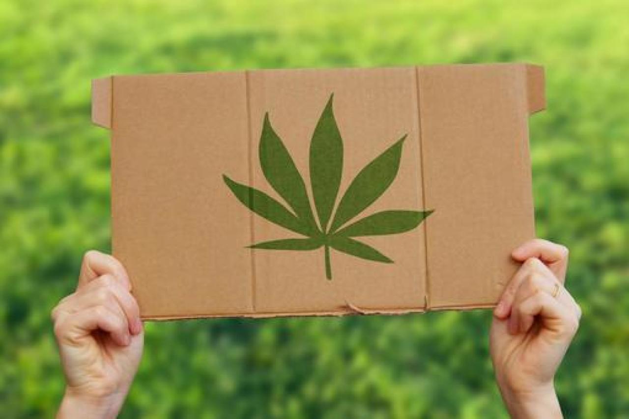 大麻と体に与える影響 その1