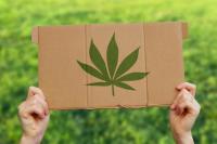 大麻と体に与える影響