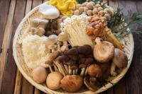 キノコの驚きの効果